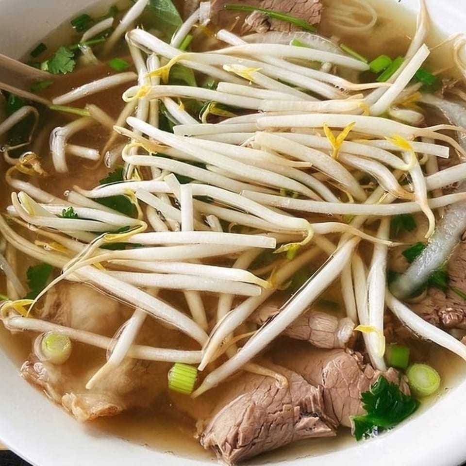 Close-up of a bowl of PHO 501's Vietnamese pho with beef, noodles, and bean sprouts.